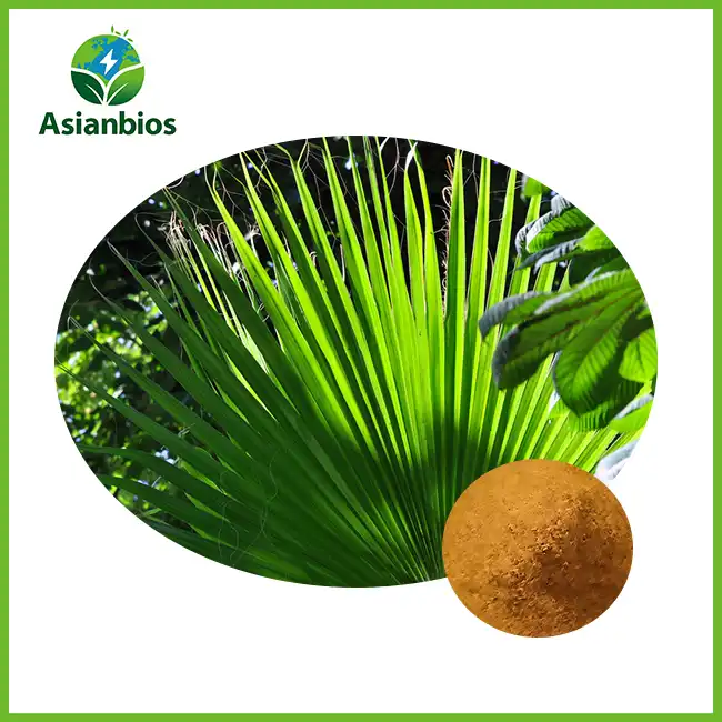 Saw Palmetto Bulk Powder